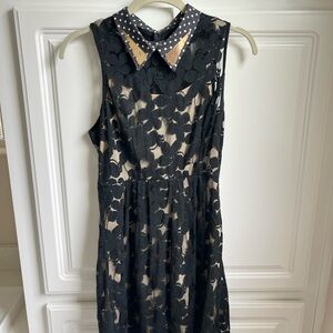 Elegant Black Lace Dress with Polka Dot Collar